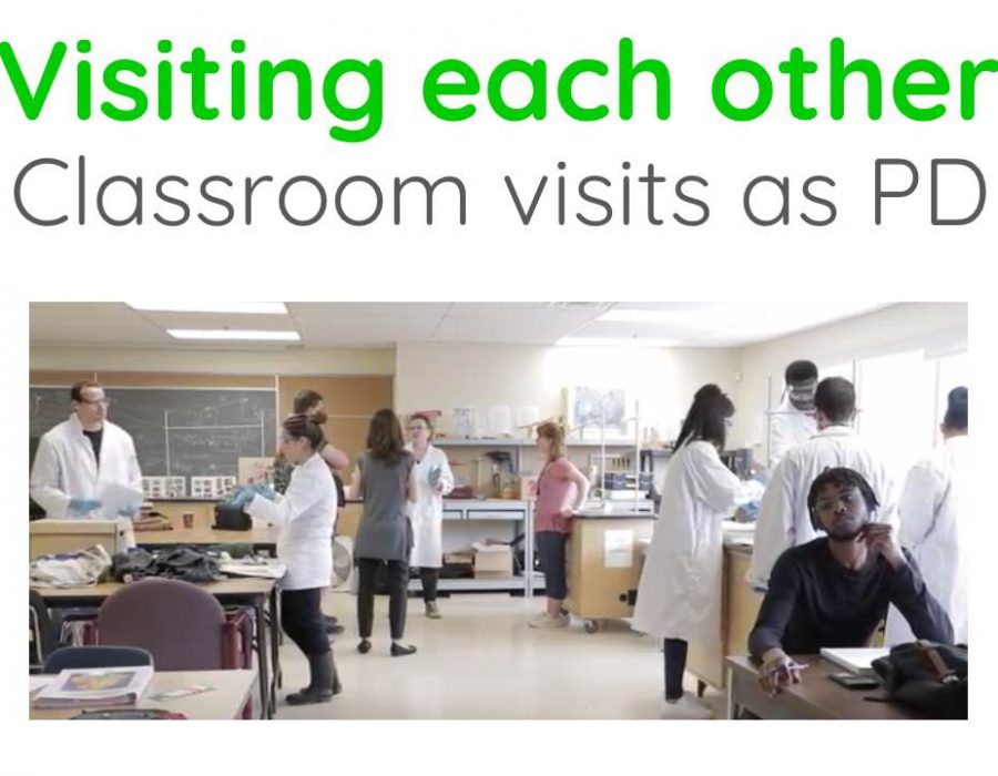 Visiting Each Other: Classroom Visits as PD