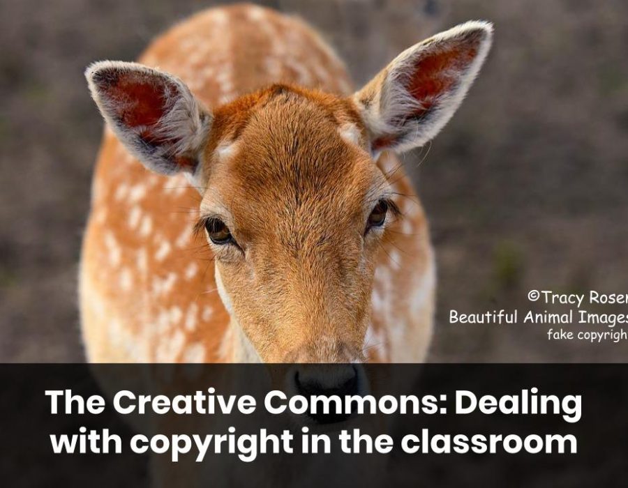 The Creative Commons: Dealing with Copyright in the Classroom