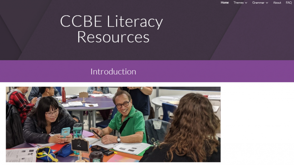 CCBE Literacy Resources Website