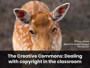 The Creative Commons: Dealing with Copyright in the Classroom